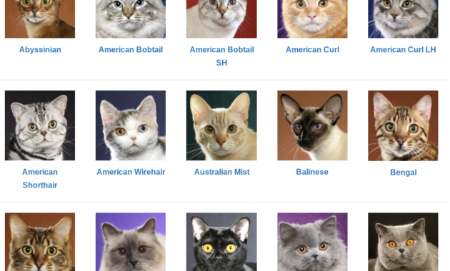 TICA classifies cats