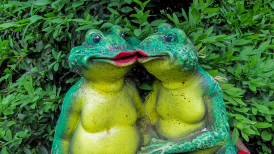 Great Frogs of the World, do Frogs Like Toads? Frogs and Toads are Friends