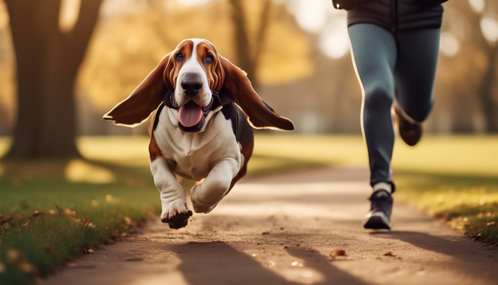 basset hound fitness guide