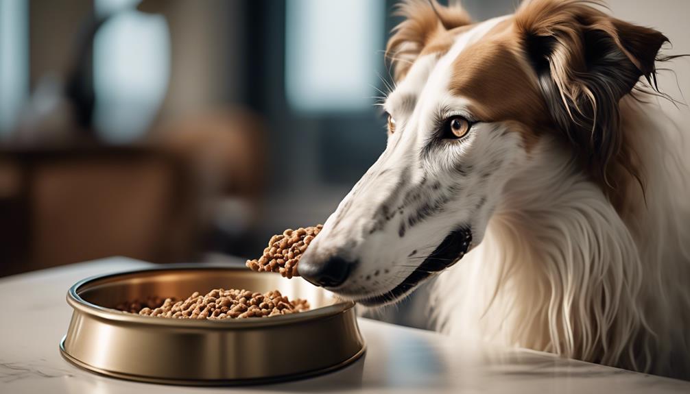 feeding the elegant borzoi