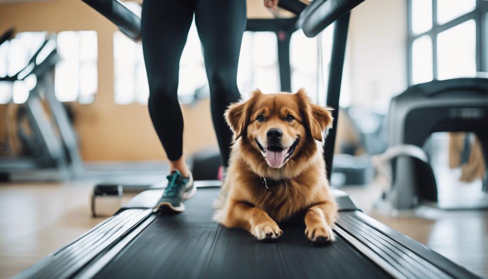 canine well being in fitness