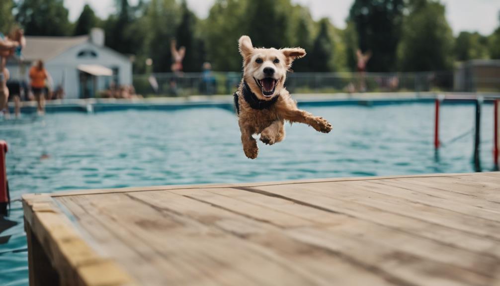 competing in dock diving