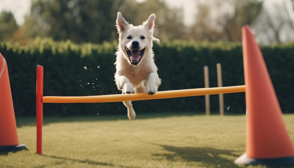 designing obstacle courses creatively