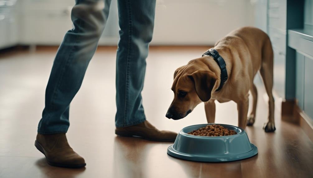 Could Your Dog Benefit From an Elevated Food Bowl? Heres How to Tell