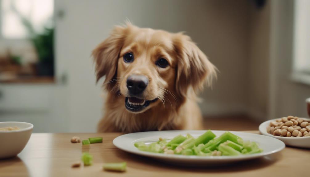 healthy ways for dogs