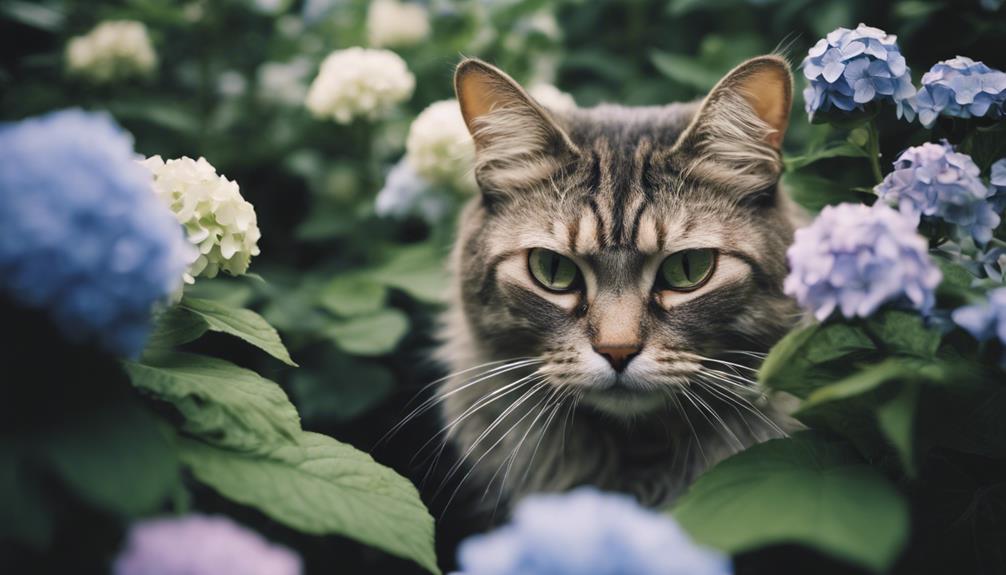 hydrangea poisoning in cats