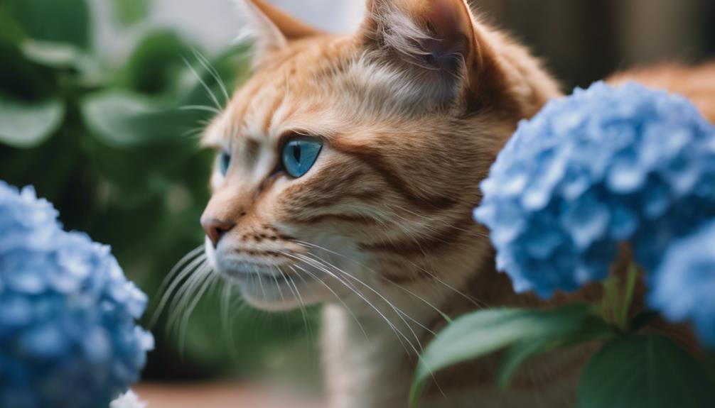 hydrangea poisoning in pets