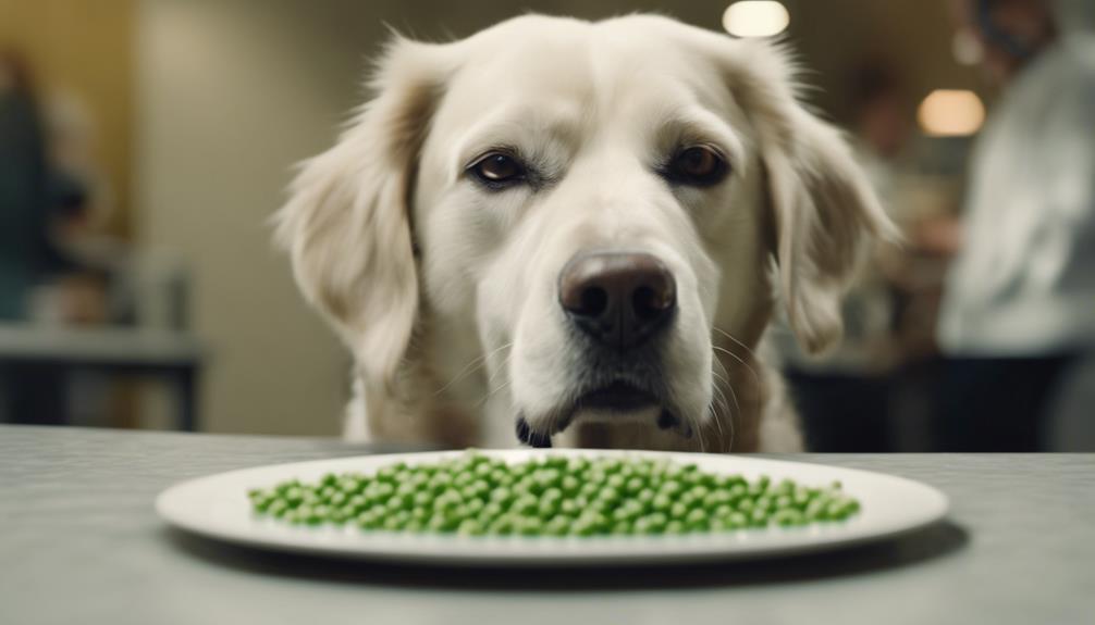 optimal nutrition for canines