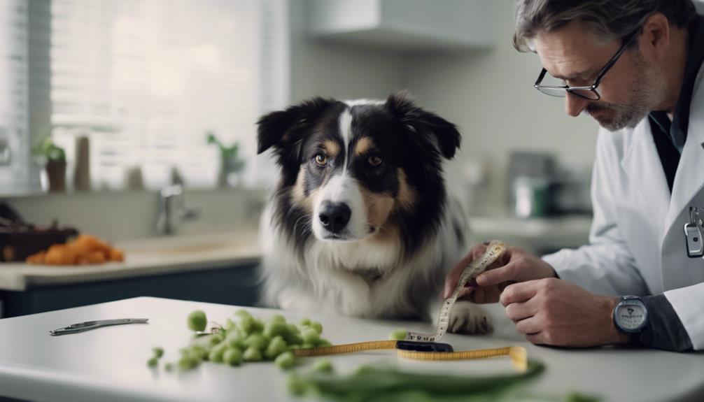 veterinary guidance for diet